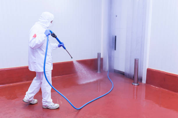 Best Graffiti Removal  in Cutler Bay, FL